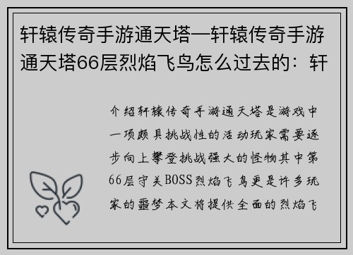 轩辕传奇手游通天塔—轩辕传奇手游通天塔66层烈焰飞鸟怎么过去的：轩辕传奇：通天塔的挑战与荣耀
